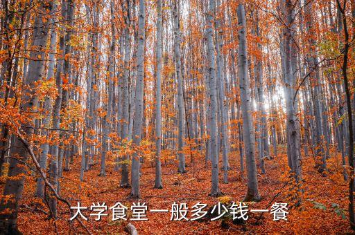 大學(xué)食堂,武漢大學(xué)食堂食堂環(huán)境怎么樣?