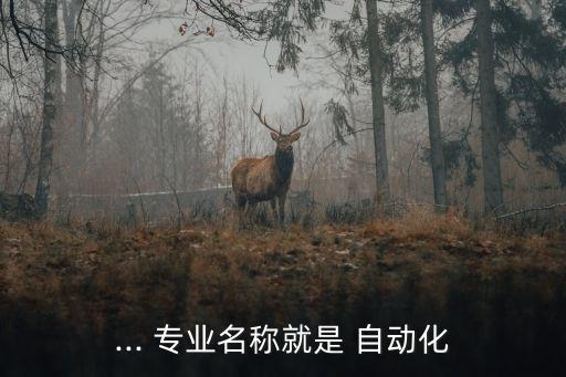... 專業(yè)名稱就是 自動(dòng)化