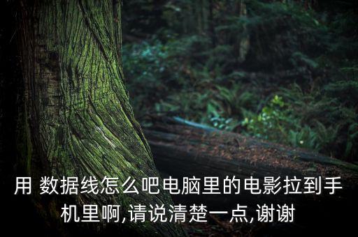 數(shù)據(jù)線(xiàn)帶拉的,蘋(píng)果帶數(shù)據(jù)線(xiàn)嗎