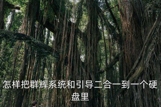 怎樣把群輝系統(tǒng)和引導(dǎo)二合一到一個(gè)硬盤里