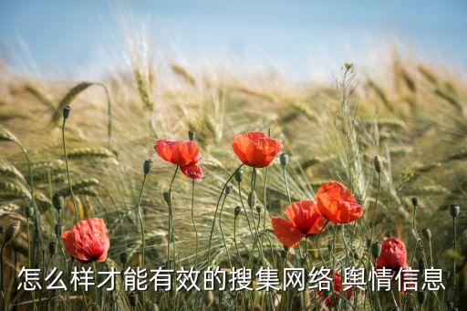怎么樣才能有效的搜集網(wǎng)絡(luò) 輿情信息
