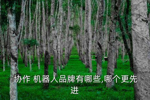  協(xié)作 機器人品牌有哪些,哪個更先進