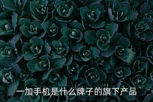一加手機是什么牌子的旗下產(chǎn)品