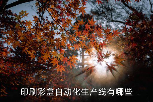 印刷彩盒自動(dòng)化生產(chǎn)線(xiàn)有哪些