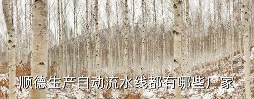 順德生產(chǎn)自動流水線都有哪些廠家