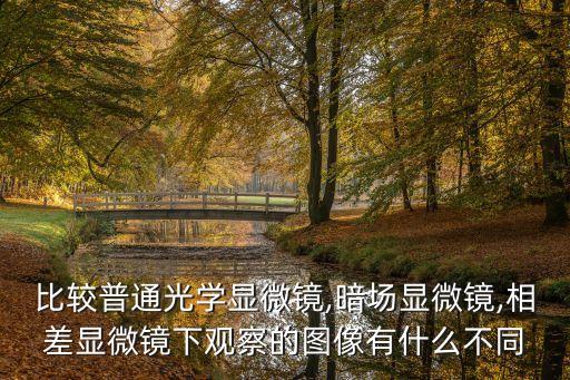 比較普通光學(xué)顯微鏡,暗場顯微鏡,相差顯微鏡下觀察的圖像有什么不同