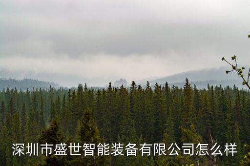 深圳市盛世智能裝備有限公司怎么樣