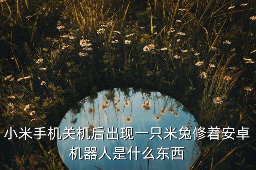 米兔機器人拆解,兔兔積木機器人怎么連接手機