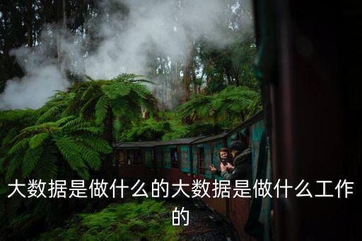大數(shù)據(jù)行業(yè)包括哪些,大數(shù)據(jù)專業(yè)有哪些職業(yè)方向?