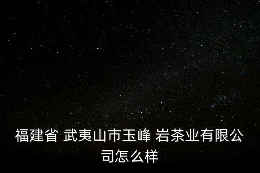 武夷山巖茶自動(dòng)化設(shè)備廠
