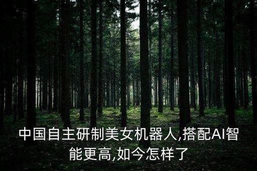 中國自主研制美女機器人,搭配AI智能更高,如今怎樣了