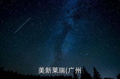 美新萊瑞(廣州