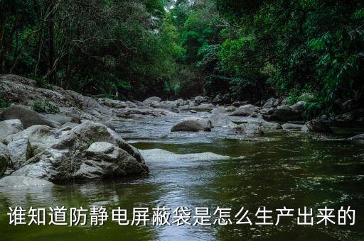 江門(mén)自動(dòng)化設(shè)備制袋機(jī)廠,防靜電屏蔽袋是怎么做的?