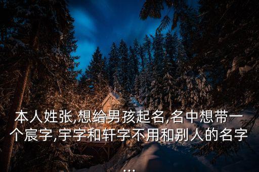 本人姓張,想給男孩起名,名中想帶一個(gè)宸字,宇字和軒字不用和別人的名字...