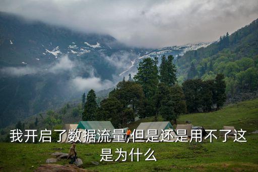 打開數(shù)據(jù)流量不能用了,手機流量開了不能用怎么回事?