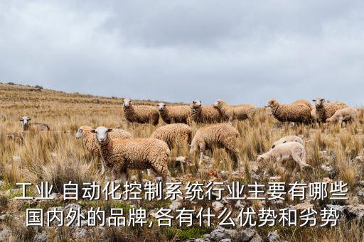 工業(yè) 自動(dòng)化控制系統(tǒng)行業(yè)主要有哪些國(guó)內(nèi)外的品牌,各有什么優(yōu)勢(shì)和劣勢(shì)