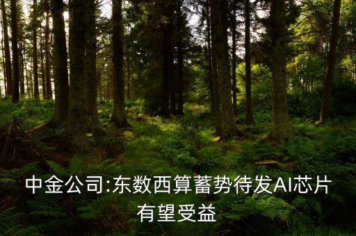 中金數(shù)據(jù)集團,中金所數(shù)據(jù)中心穩(wěn)定嗎?比較穩(wěn)定!