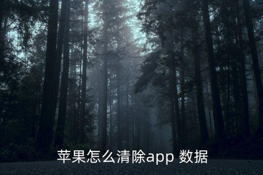  蘋果怎么清除app 數(shù)據(jù)