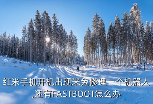 紅米手機開機出現(xiàn)米兔修理一個機器人,還有FASTBOOT怎么辦
