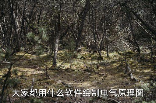 大家都用什么軟件繪制電氣原理圖
