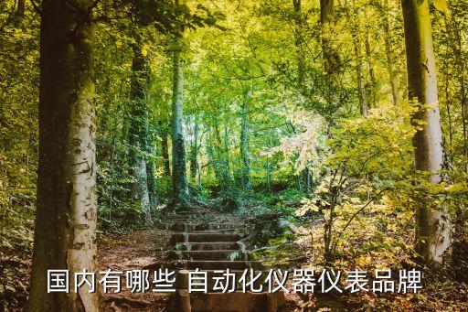 中國國產(chǎn)自動(dòng)化公司,上隆自動(dòng)化是國產(chǎn)還是進(jìn)口