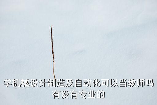 自動(dòng)化專業(yè)當(dāng)老師要什么文憑,想當(dāng)老師需要什么學(xué)歷?