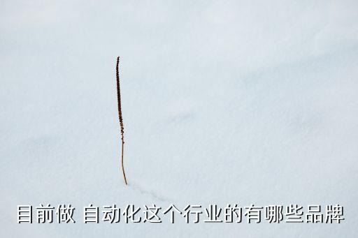 目前做 自動(dòng)化這個(gè)行業(yè)的有哪些品牌
