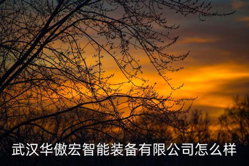 武漢華傲宏智能裝備有限公司怎么樣