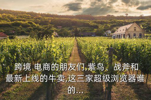 跨境電商自動(dòng)化設(shè)備,做跨境電商需要用到的軟件和設(shè)備