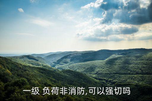  一級(jí) 負(fù)荷非消防,可以強(qiáng)切嗎