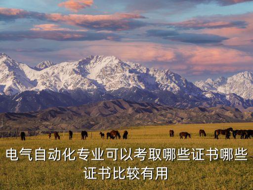 電氣自動化專業(yè)可以考取哪些證書哪些證書比較有用