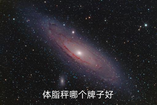 體脂秤哪個牌子好