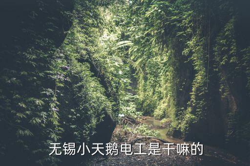  無錫小天鵝電工是干嘛的