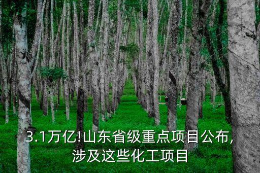 東莞市銳華高端自動(dòng)化公司