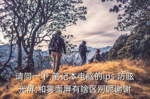 請(qǐng)問(wèn)一下,筆記本電腦的ips 防眩光屏,和霧面屏有啥區(qū)別呢謝謝