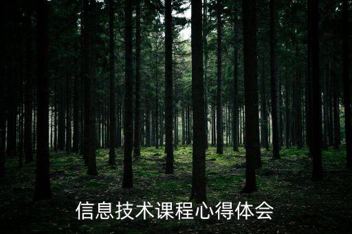 信息技術(shù)課程心得體會