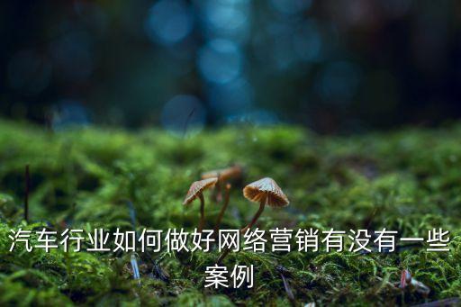 汽車行業(yè)如何做好網(wǎng)絡(luò)營(yíng)銷有沒有一些案例