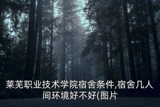萊蕪職業(yè)技術(shù)學(xué)院宿舍條件,宿舍幾人間環(huán)境好不好(圖片