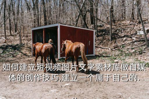 如何建立短視頻圖片文字素材庫(kù)做自媒體的創(chuàng)作技巧,建立一個(gè)屬于自己的...