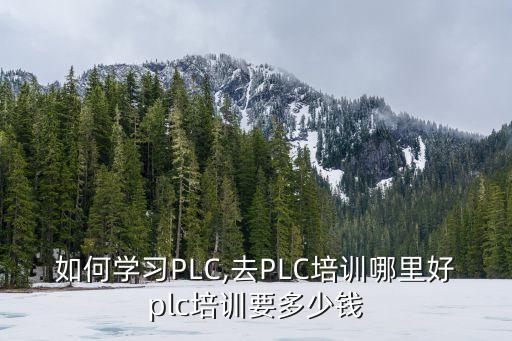 如何學(xué)習(xí)PLC,去PLC培訓(xùn)哪里好plc培訓(xùn)要多少錢