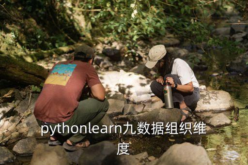 pythonlearn九數(shù)據(jù)組織維度