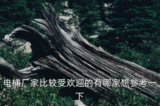 電梯廠家比較受歡迎的有哪家想?yún)⒖家幌? class=