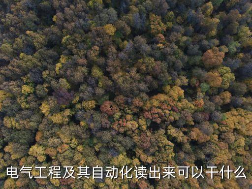 電氣工程及其自動化讀出來可以干什么