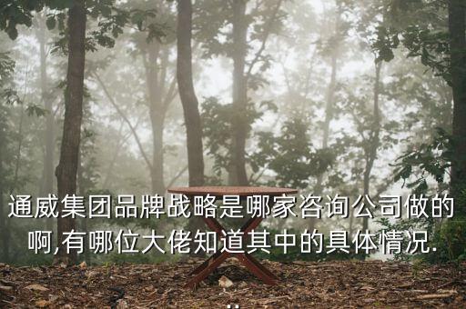 通威集團(tuán)品牌戰(zhàn)略是哪家咨詢公司做的啊,有哪位大佬知道其中的具體情況...