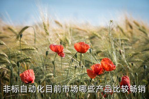 非標(biāo)自動(dòng)化目前市場(chǎng)哪些產(chǎn)品比較暢銷(xiāo)