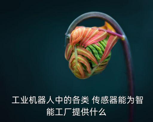  工業(yè)機(jī)器人中的各類 傳感器能為智能工廠提供什么