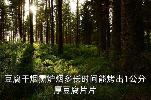 豆腐干煙熏爐煙多長(zhǎng)時(shí)間能烤出1公分厚豆腐片片