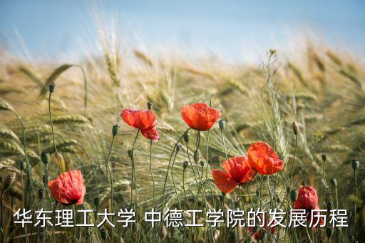 電氣自動化中德合作項目,2022年中德合作項目