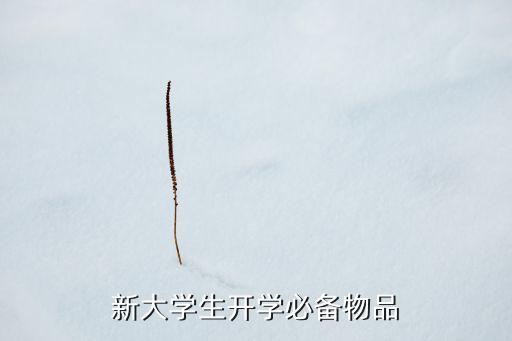 新大學(xué)生開學(xué)必備物品