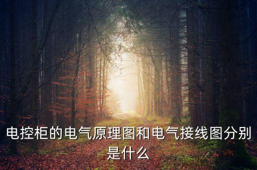 電控柜的電氣原理圖和電氣接線圖分別是什么
